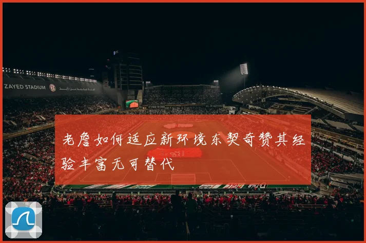 老詹如何适应新环境东契奇赞其经验丰富无可替代