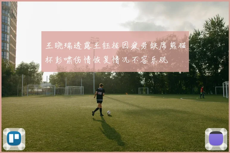 王晓瑞透露王钰栋因疲劳缺席熊猫杯彭啸伤情恢复情况不容乐观