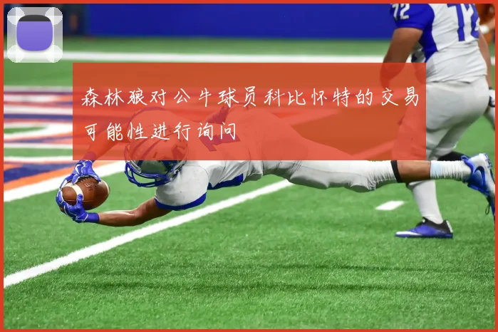 森林狼对公牛球员科比怀特的交易可能性进行询问