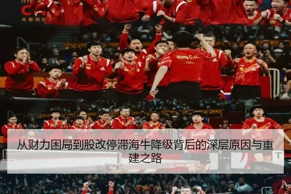img_1791981966808_316_0_186.jpg | BSports